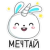 Rabbit 5