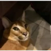 no sé que título ponerle 9
