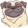Pug Power 10