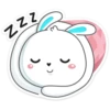 Rabbit 7