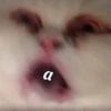 Meow by 13