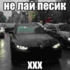 ванофкарс 10