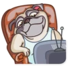 Pug Power 11