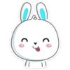 Rabbit 8