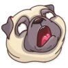 Pug Power 12