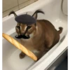 no sé que título ponerle 12