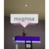 Roblox 6