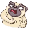 Pug Power 14