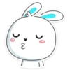 Rabbit 11