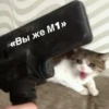 Meow by 14