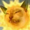 Meow by 15