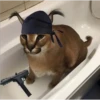 no sé que título ponerle 15