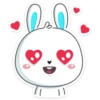 Rabbit 12