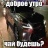 ванофкарс 15