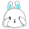 Rabbit 13