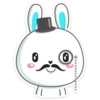 Rabbit 14