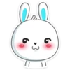 Rabbit 16