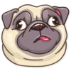 Pug Power 17