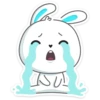Rabbit 17