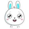 Rabbit 19