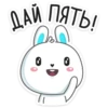 Rabbit 20