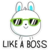 Rabbit 21