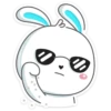 Rabbit 22