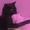 Meow by 25