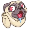 Pug Power 20