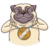 Pug Power 21