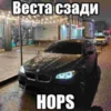 ванофкарс 23