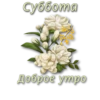 СТИКЕРЫ от 15