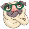 Pug Power 23