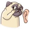 Pug Power 24