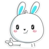 Rabbit 23