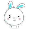Rabbit 24