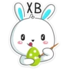 Rabbit 25