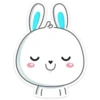 Rabbit 26