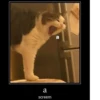 Meow by 28
