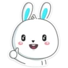 Rabbit 27