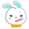 Rabbit 28