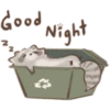 Cutie Raccoon 5