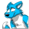 Benzo Husky 9