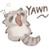 Cutie Raccoon 6