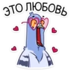 Michael the Pigeon (Part 2) 5