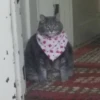 ЛYчьше стикеры - 9