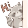 Cutie Raccoon 11