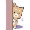 Pretty Puppy 6 5