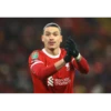 Liverpool fc 8