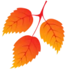 Autumn 🍁 7